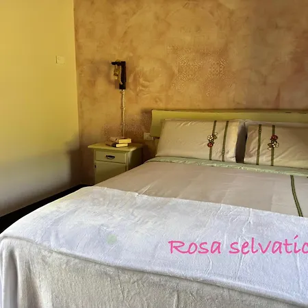 Bernacco Vallio Terme